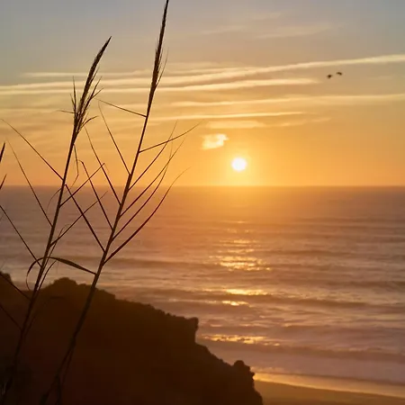 Wander Surf House Hostel *