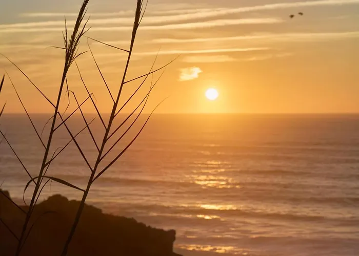 Wander Surf House 호스텔 *