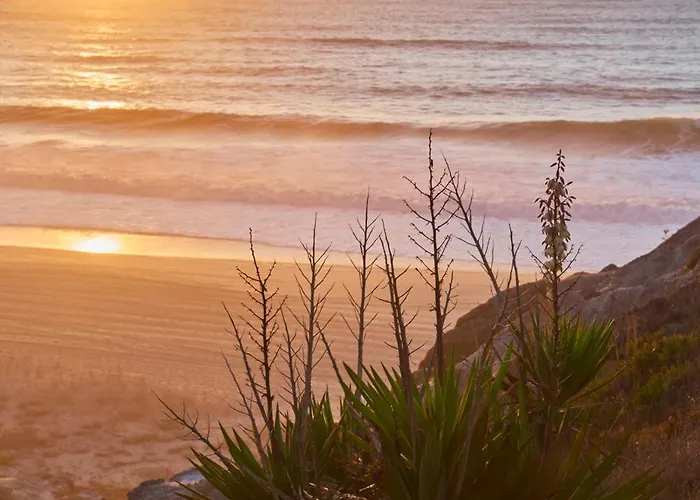 호스텔 Wander Surf House